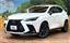 2023 Lexus NX 照片 1
