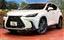 2023 Lexus NX 照片 1