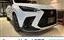 2024 Lexus NX 照片 1
