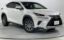 2019 Lexus NX photo 1