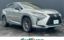 2019 Lexus RX photo 1