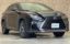 2019 Lexus RX photo 1