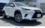 2020 Lexus NX photo 1
