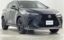 2023 Lexus NX 照片 1