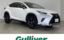 صورة 1 لـ 2019 Lexus NX
