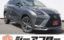 2019 Lexus NX 照片 1