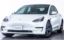 2021 Tesla MODEL 3 photo 1