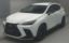 2025 Lexus NX 照片 1