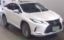 2021 Lexus RX 照片 1